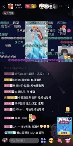 以闪亮之名13