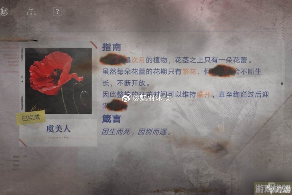 无期迷途花笺密文,无期迷途花笺解密