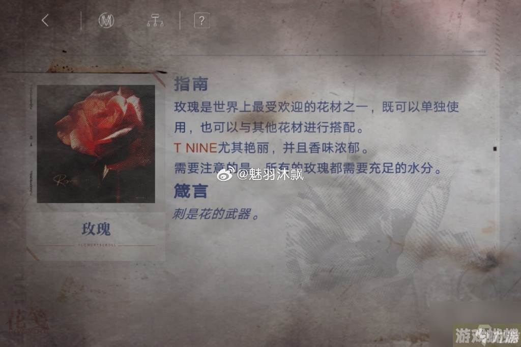 无期迷途花笺密文,无期迷途花笺解密