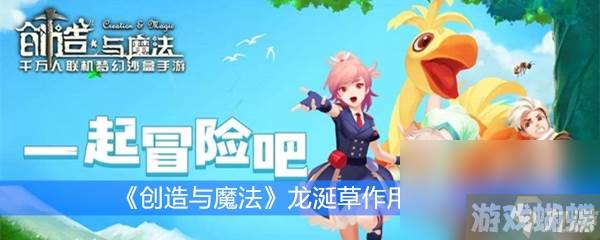 《创造与魔法》龙涎草作用分析