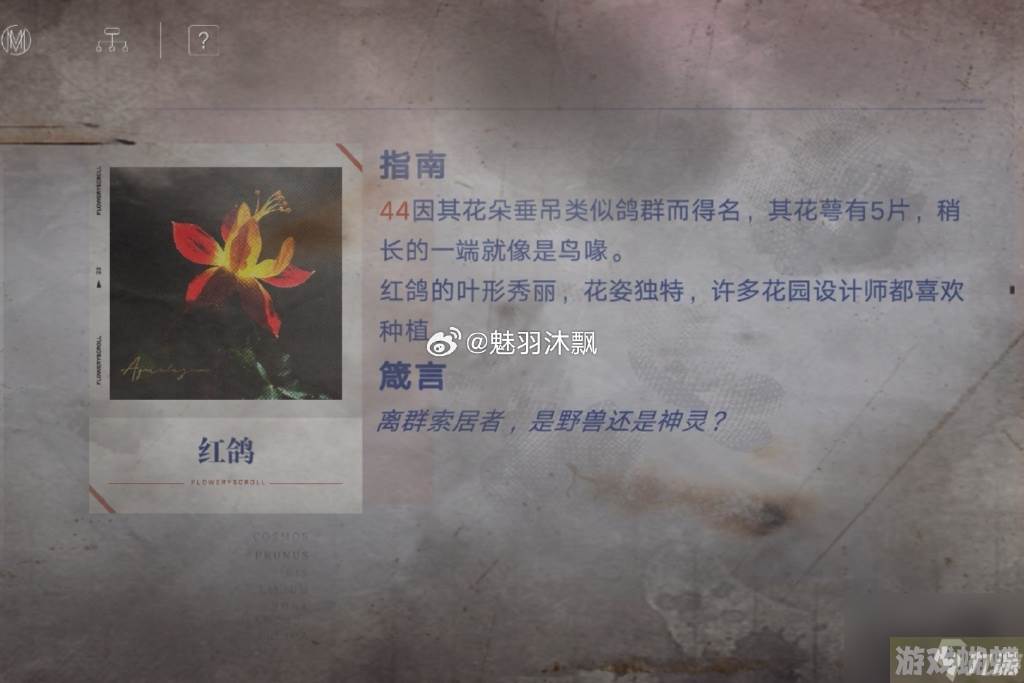 无期迷途花笺密文,无期迷途花笺解密