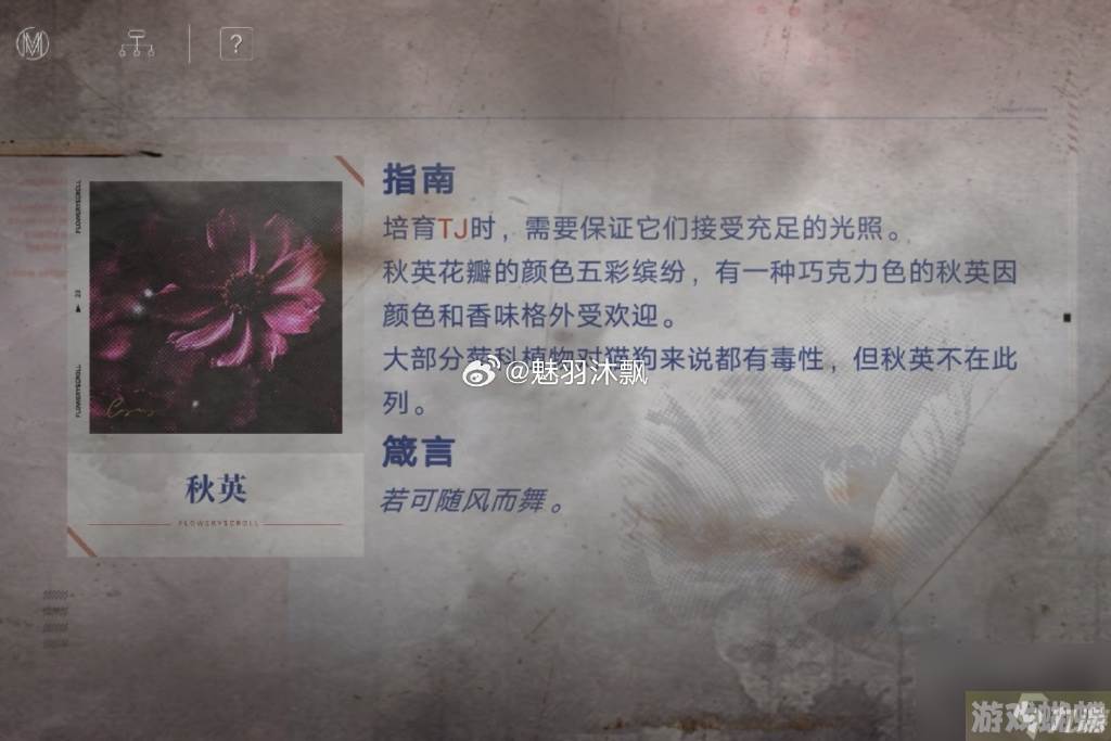 无期迷途花笺密文,无期迷途花笺解密