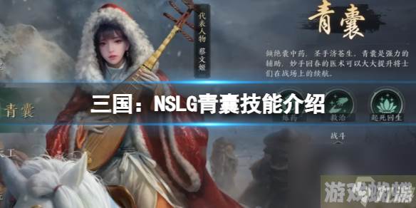 《三国：NSLG》青囊技能详解 六大职业技能详解